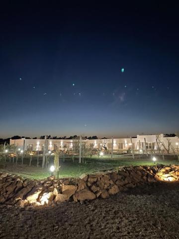 Cantine De Mare - Wine And Resort Cirò Marina Eksteriør bilde